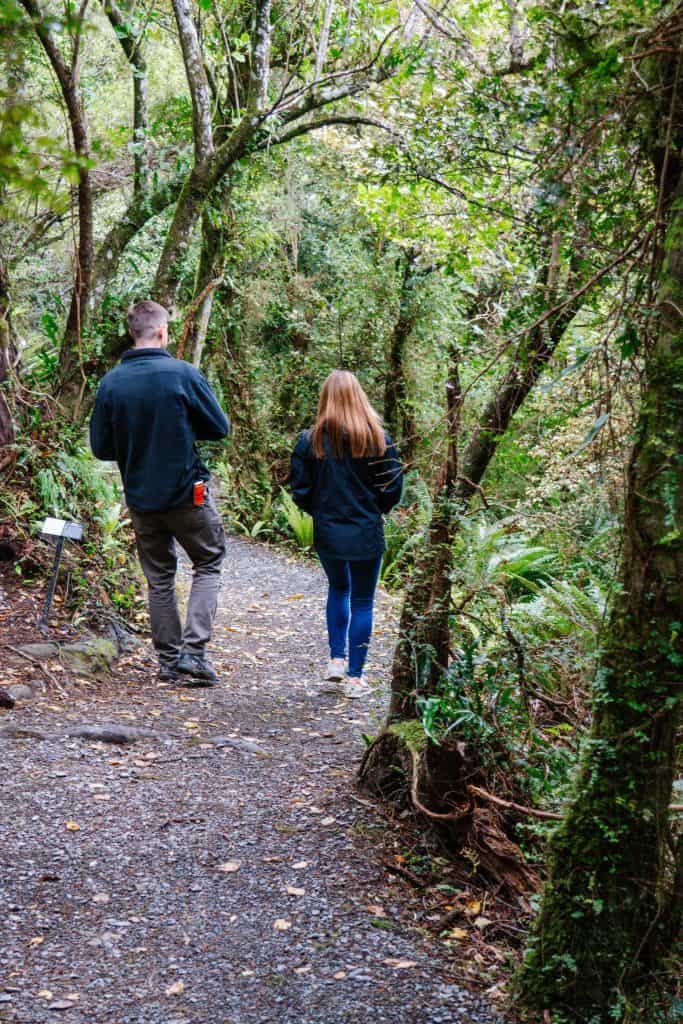 Orokonui Ecosanctuary Dunedin