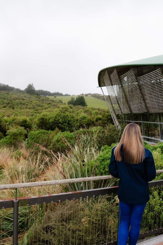 Visit Orokonui Ecosanctuary Dunedin and spot some of the world's rarest wildlife