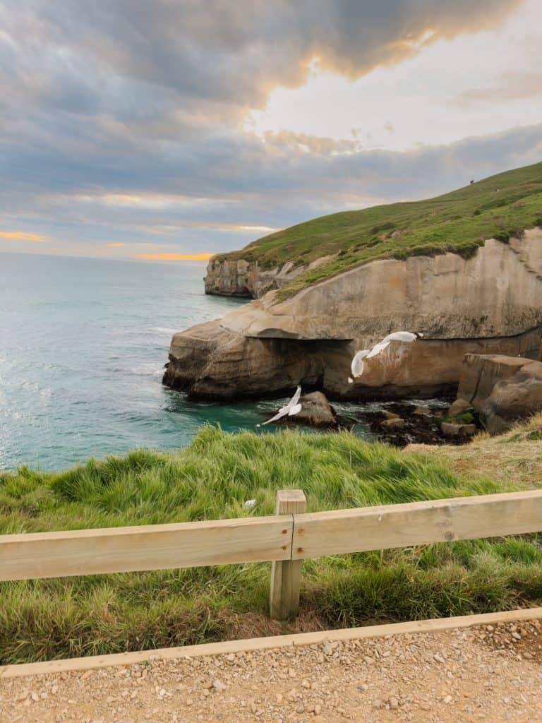 Tunnel Beach Dunedin