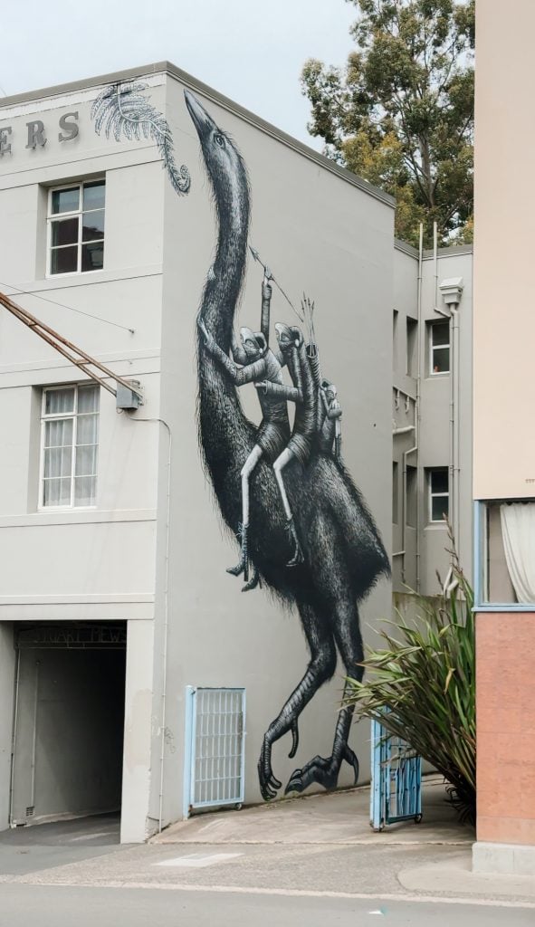 City Walks tour in Dunedin to see all the street art