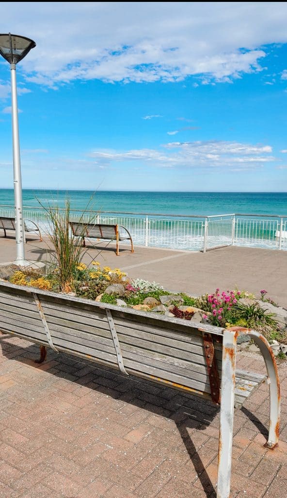 Saint Clair in Dunedin